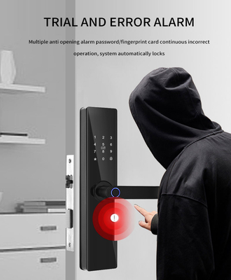 Glomarket Tuya TTlock Φαγγαρογραφία Ψηφιακό Password Διαμέρισμα Σπίτι Δωμάτιο Cerraduras Intelligentes Ασφάλεια έξυπνη ξύλινη κλειδαριά πόρτας