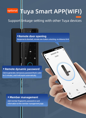 Glomarket Tuya Smart 3d αναγνώριση προσώπου Wifi Glass Door Lock Αποτυπώματα δακτύλων Κάρτα Password Ηλεκτρονική κλειδαριά πόρτας γυαλιού για γραφείο