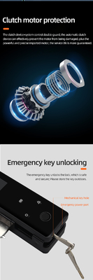 Glomarket Tuya Smart 3d αναγνώριση προσώπου Wifi Glass Door Lock Αποτυπώματα δακτύλων Κάρτα Password Ηλεκτρονική κλειδαριά πόρτας γυαλιού για γραφείο