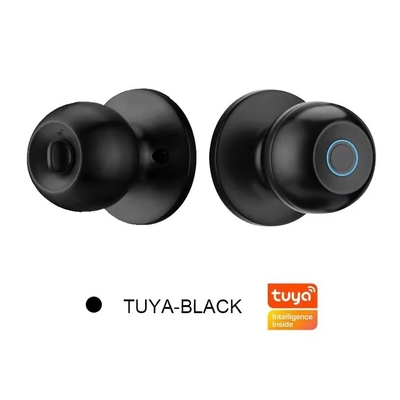 Γλομάρκετ Wholesale Intelligent Round Ball Knob Lock Keyless Smart Door Handle Lock Tuya App Control Smart Fingerprint Door Lock Το κλειδί της πόρτας δεν έχει κλειδί.
