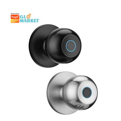 Γλομάρκετ Wholesale Intelligent Round Ball Knob Lock Keyless Smart Door Handle Lock Tuya App Control Smart Fingerprint Door Lock Το κλειδί της πόρτας δεν έχει κλειδί.