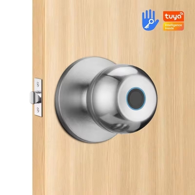 Γλομάρκετ Wholesale Intelligent Round Ball Knob Lock Keyless Smart Door Handle Lock Tuya App Control Smart Fingerprint Door Lock Το κλειδί της πόρτας δεν έχει κλειδί.