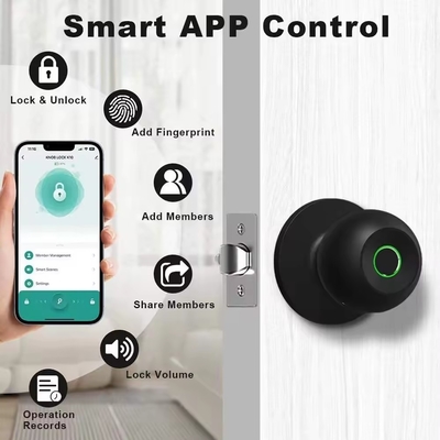 Γλομάρκετ Wholesale Intelligent Round Ball Knob Lock Keyless Smart Door Handle Lock Tuya App Control Smart Fingerprint Door Lock Το κλειδί της πόρτας δεν έχει κλειδί.